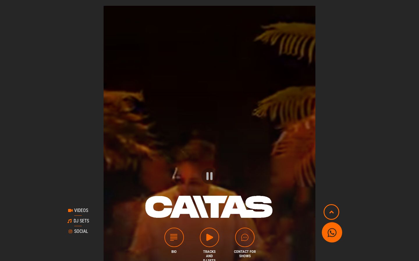 Caitas website preview